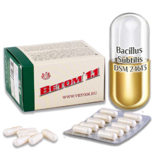 Vetom 1.1 probiotikum kapszula (étrend-kiegészitő)